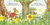 Zusatzmaterial PA 978 3 7373 7221 3 innen 001 von Die Welt von Peter Hase -  Das bunte Osterfest: Pop-Up Buch von Beatrix Potter