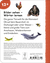 Zusatzmaterial 9783737336710 U4 von Duden 12+: Kennst du das? Die Tiere