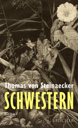 Buchcover von Schwestern: Roman von Thomas von Steinaecker