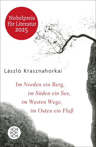 Buchcover von Im Norden ein Berg, im Süden ein See, im Westen Wege, im Osten ein Fluss: Roman