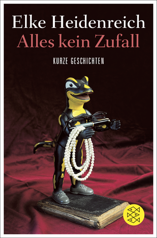 Buchcover von Alles kein Zufall: Kurze Geschichten