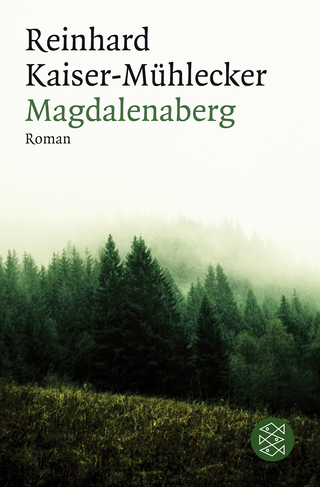 Buchcover von Magdalenaberg: Roman
