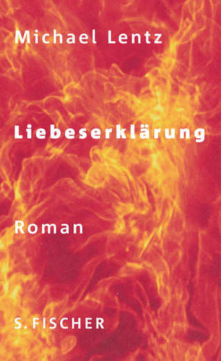 Buchcover von Liebeserklärung: Roman
