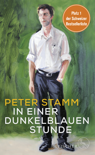 Buchcover von In einer dunkelblauen Stunde: Roman