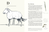 Zusatzmaterial PA 978 3 7373 7454 5 innen 002 von You’re an animal, and I’m human?: Was uns trennt und was wir teilen von Anke Bär