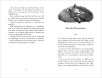 Zusatzmaterial PA 978 3 7373 7259 6 innen 002 von Birds of Paris – Der verborgene Turm  von Kathrin Tordasi, Heiko Hentschel