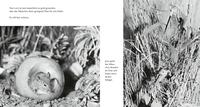 Zusatzmaterial PA 978 3 7373 6387 7 innen 002 von Das Apfelmäuschen von Mathilde Reich, Ulrich Thomas