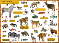 Zusatzmaterial PA 978 3 7373 3491 4 innen 002 von Do You Know? The Big Animal Picture Dictionary: extra großes Foto-Pappbilderbuch 