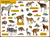 Zusatzmaterial PA 978 3 7373 3491 4 innen 002 von Do You Know? The Big Animal Picture Dictionary: extra großes Foto-Pappbilderbuch 