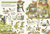 Zusatzmaterial PA 978 3 7373 7400 2 innen 001 von Chickens, Chickens Everywhere!: Das große Hühner-Such-und Wimmelbuch von Alexander Steffensmeier