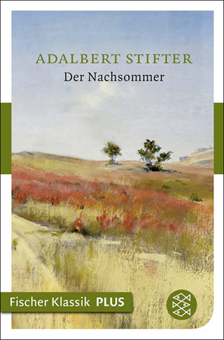 Buchcover von Der Nachsommer: Roman