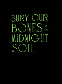 Zusatzmaterial PA 978 3 596 71032 4 innen 004 von Bury Our Bones in the Midnight Soil: Liebe stirbt zuletzt von V. E. Schwab