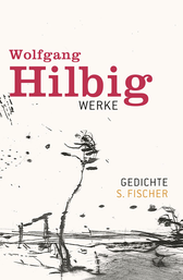 Buchcover von Gedichte von Wolfgang Hilbig