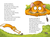 Zusatzmaterial PA 978 3 7373 3480 8 innen 011 von Suddenly a Cat! Reading Expert - Second Grade von Antje Lehbrink, Marek Bláha