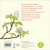 Zusatzmaterial 9783737359306 U4 von The Chestnut Miracle:   von Hans-Christian Schmidt, Andreas Német