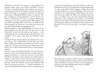 Zusatzmaterial PA 978 3 7335 0791 6 innen 002 von Der kleine Vampir von Angela Sommer-Bodenburg, Amelie Glienke