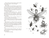 Zusatzmaterial PA 978 3 7373 7565 8 innen 003 von Don't Let The Forest In von CG Drews