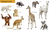 Zusatzmaterial PA 978 3 7373 3430 3 innen 001 von Do You Know? Zoo Animals: ab 12 Monaten
