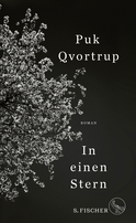 Buchcover von In einen Stern: Roman von Puk Qvortrup
