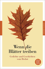 Buchcover von Wenn die Blätter treiben: Gedichte und Geschichten vom Herbst von Axel Ruckaberle