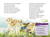 Zusatzmaterial PA 978 3 7373 3475 4 innen 001 von The Bee Saviours - Reading Expert, Second Grade von Luise Holthausen, Iris Hardt
