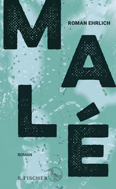 Buchcover von Malé: Roman von Roman Ehrlich