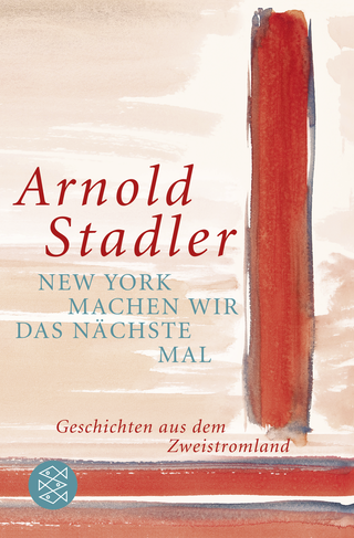 Buchcover von New York machen wir das nächste Mal: Geschichten aus dem Zweistromland