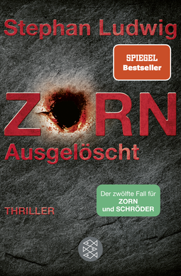 Buchcover von Zorn – Ausgelöscht: Thriller von Stephan Ludwig