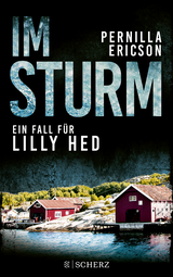 Buchcover von Im Sturm von Pernilla Ericson