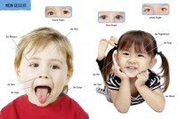 Zusatzmaterial PA 978 3 7373 3650 5 innen 002 von Do You Know? My Big Picture Dictionary About the Body