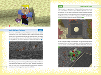 Zusatzmaterial PA 978 3 7335 5021 9 innen 011 von 201 Things About Minecraft You Didn't Know von SparkofPhoenix