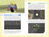 Zusatzmaterial PA 978 3 7335 5021 9 innen 011 von 201 Things About Minecraft You Didn't Know von SparkofPhoenix