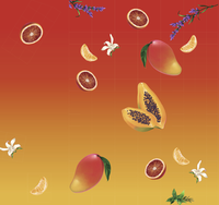 Zusatzmaterial U2 978 3 7571 0099 5 von Soul Food von Elizabeth Acevedo