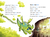 Zusatzmaterial PA 978 3 7373 7591 7 innen 003 von The Secret of Dragon Island -  Reading Experts - First Grade von Sabine Stehr, Pascal Nöldner