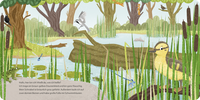 Zusatzmaterial PA 978 3 7373 7385 2 innen 001 von Do You Know Me? I am the Little Duck von Andrea Weller-Essers, Sandra Kissling