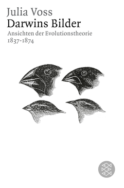 Buchcover von Darwins Bilder: Ansichten der Evolutionstheorie 1837-1874 von Julia Voss