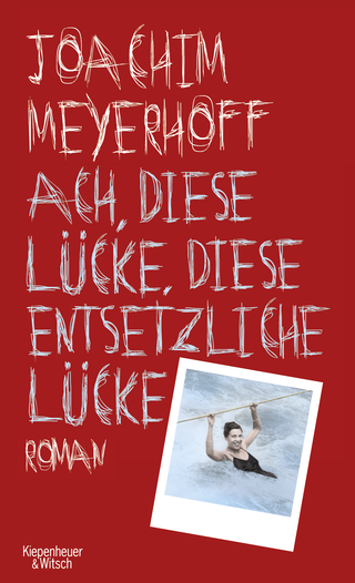 Buchcover von Ach, diese Lücke, diese entsetzliche Lücke: Roman. Alle Toten fliegen hoch, Teil 3