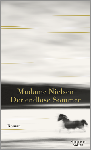 Buchcover von Der endlose Sommer: Roman
