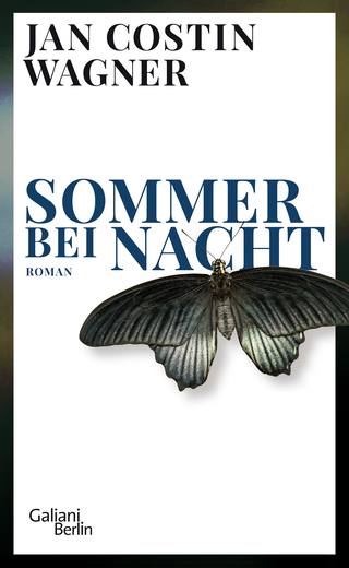 Buchcover von Sommer bei Nacht: Roman