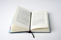 Zusatzmaterial PA 978 3 462 05095 0 innen 003 von Walter Has to Go – Mrs. Huber Investigates (The First Case): Frau Huber ermittelt. Der erste Fall von Thomas Raab