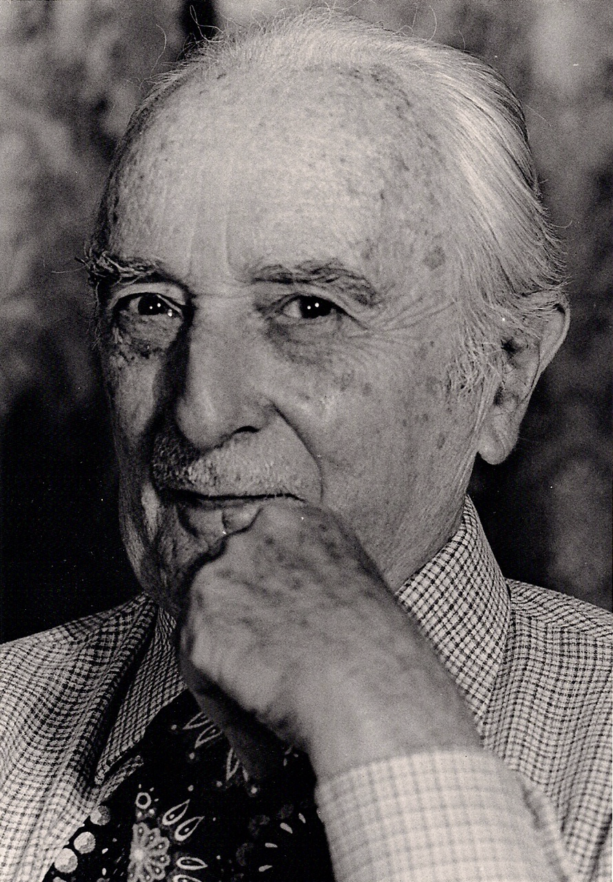 Portrait von Andrea Giovene