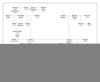Zusatzmaterial VS 978 3 462 05222 0 von Ihr sollt wissen, dass wir noch da sind von Esther Safran Foer