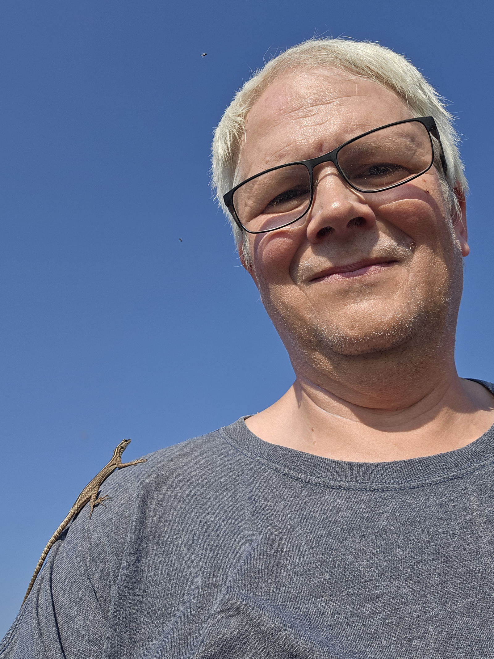 Portrait von Heiko Werning