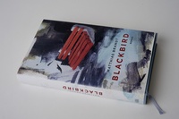 Zusatzmaterial PA 978 3 462 05313 5 innen 001 von Blackbird: Roman von Matthias Brandt