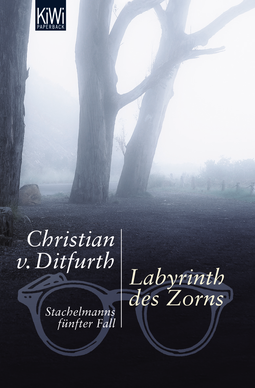 Buchcover von Labyrinth des Zorns: Stachelmanns fünfter Fall von Christian von Ditfurth