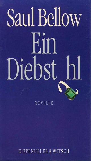 Buchcover von Ein Diebstahl: Novelle