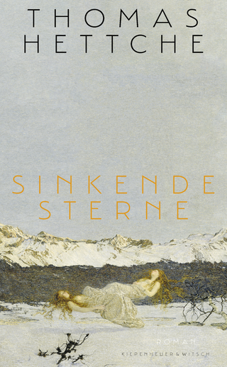 Buchcover von Sinkende Sterne: Roman