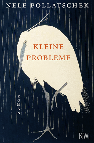 Buchcover von Kleine Probleme: Roman