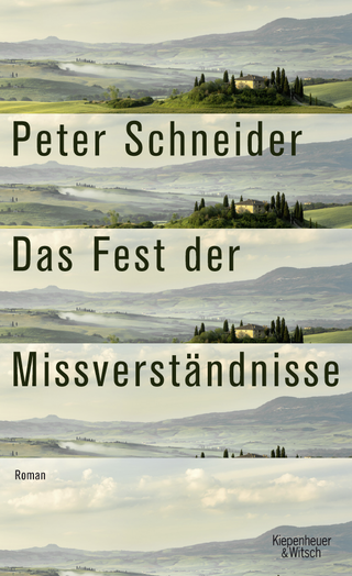 Buchcover von Das Fest der Missverständnisse: Erzählungen