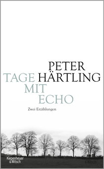 Buchcover von Days To Remember: Zwei Erzählungen